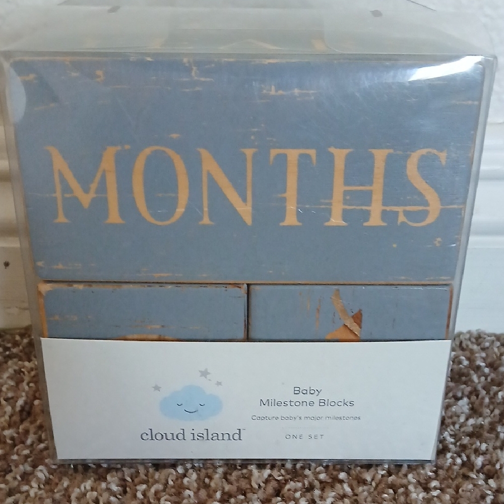 Gray Farmhouse Rustic Baby Milestone Blocks Wooden